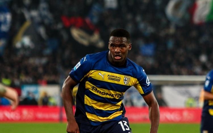 草地上进行 草地上进行